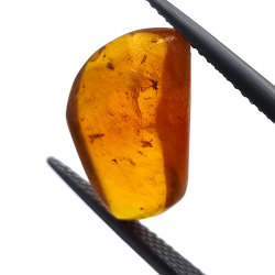 2,77 ct Bernstein mit Cabochon-Insekt 15,22 x 12,73 x 5,60 mm