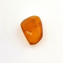 2,77 ct Bernstein mit Cabochon-Insekt 15,22 x 12,73 x 5,60 mm