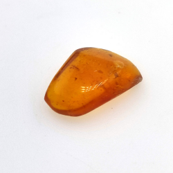 2,77 ct Bernstein mit Cabochon-Insekt 15,22 x 12,73 x 5,60 mm