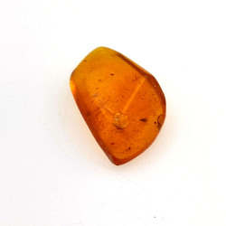 2,77 ct Ámbar con insecto cabujón 15,22 x 12,73 x 5,60 mm