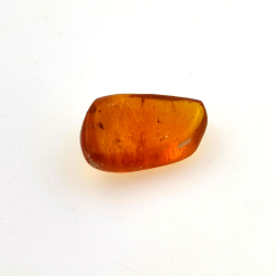 2.77 ct Amber with insect cabochon 15.22 x 12.73 x 5.60 mm