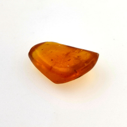 2,77 ct Ámbar con insecto cabujón 15,22 x 12,73 x 5,60 mm