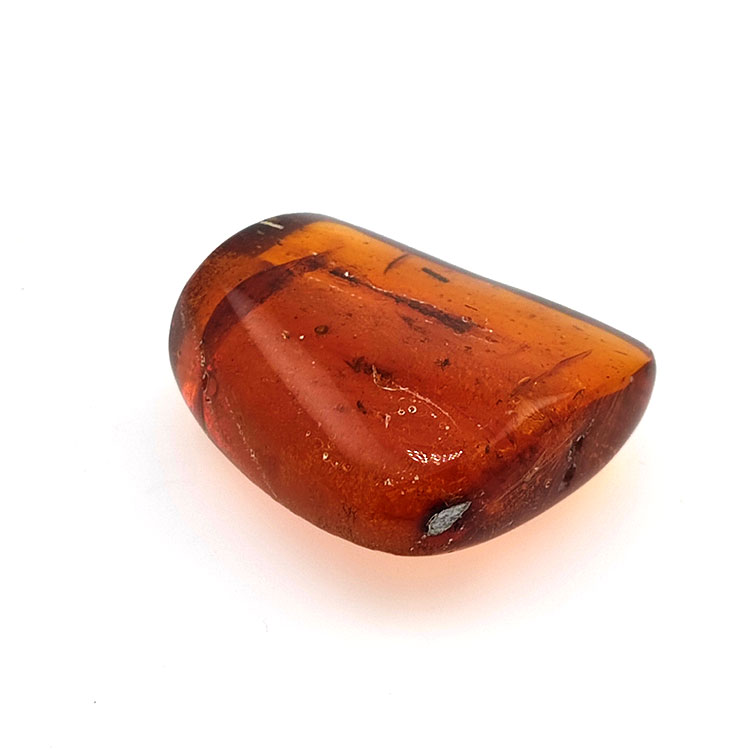 69,43 ct Ambre avec insecte cabochon 38,42 x 31,33 x 15,87 mm