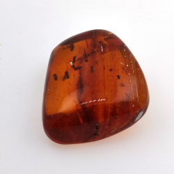 69.43 ct Amber with insect cabochon 38.42 x 31.33 x 15.87 mm