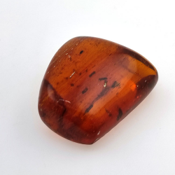 69,43 ct Ambre avec insecte cabochon 38,42 x 31,33 x 15,87 mm