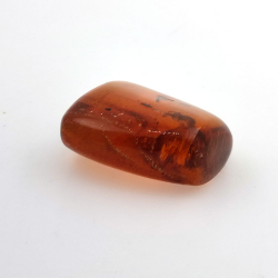 69,43 ct Ambre avec insecte cabochon 38,42 x 31,33 x 15,87 mm