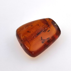 69.43 ct Amber with insect cabochon 38.42 x 31.33 x 15.87 mm