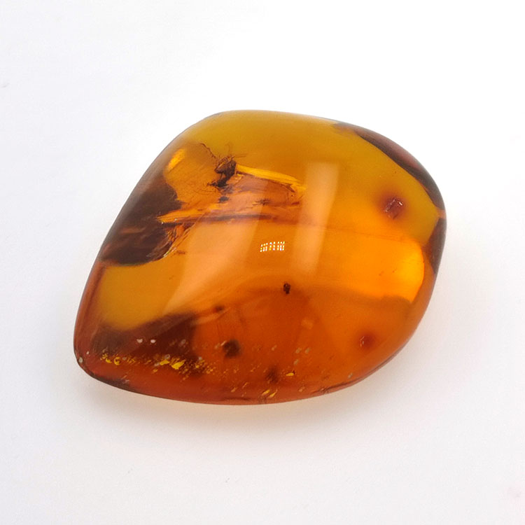 71,26 ct Bernstein mit Insekt Cabochon 43,86 x 37,31 x 17,80 mm