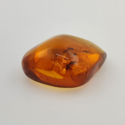 71,26 ct Bernstein mit Insekt Cabochon 43,86 x 37,31 x 17,80 mm