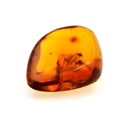 71,26 ct Ámbar con insecto cabujón 43,86 x 37,31 x 17,80 mm