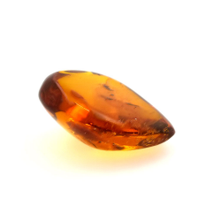 71,26 ct Ambre avec insecte cabochon 43,86 x 37,31 x 17,80 mm