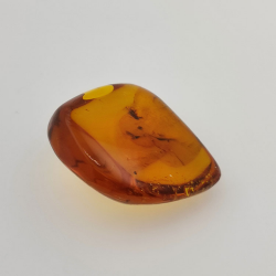71.26 ct Amber with insect cabochon 43.86 x 37.31 x 17.80 mm