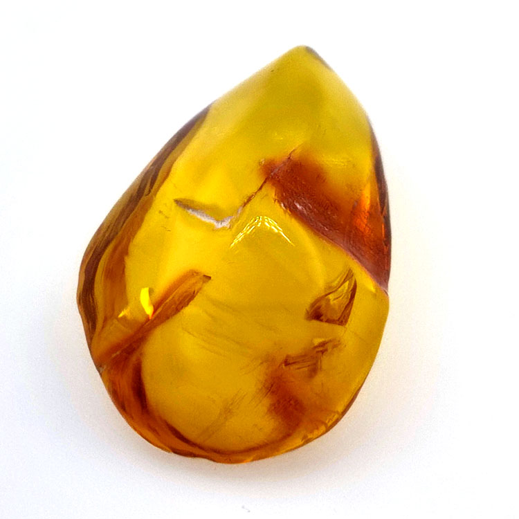 13,52 ct Ambra cabochon con insetto, 28,62 × 18,34 × 10,56 mm