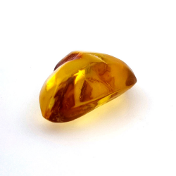 13,52 ct Ambra cabochon con insetto, 28,62 × 18,34 × 10,56 mm