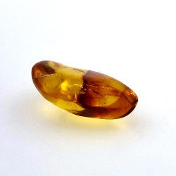 13,52 ct Ámbar con insecto cabujón 28,62 x 18,34 x 10,56 mm