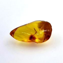 13,52 ct Ámbar con insecto cabujón 28,62 x 18,34 x 10,56 mm