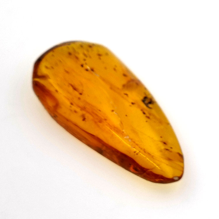15.37 ct Cabochon Amber with Insect, 38.10 × 19.18 × 7.34 mm