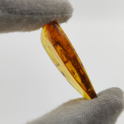 15.37 ct Cabochon Amber with Insect, 38.10 × 19.18 × 7.34 mm