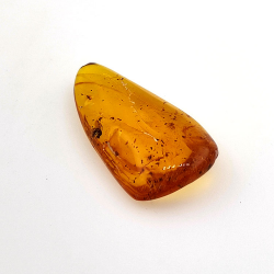 Ambre cabochon avec insecte 15,37 ct, 38,10 × 19,18 × 7,34 mm