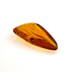 Ambre cabochon avec insecte 15,37 ct, 38,10 × 19,18 × 7,34 mm