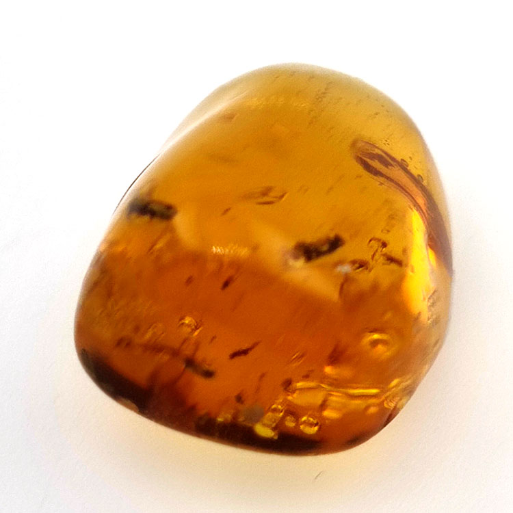 16,28 ct Cabochon Bernstein mit Insekt, 25,69 × 17,25 × 12,22 mm