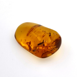 16,28 ct Ámbar con insecto cabujón 25,69 x 17,25 x 12,22 mm