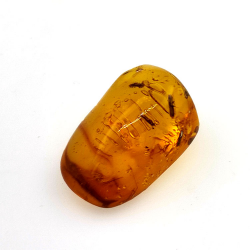16.28 ct Cabochon Amber with Insect, 25.69 × 17.25 × 12.22 mm