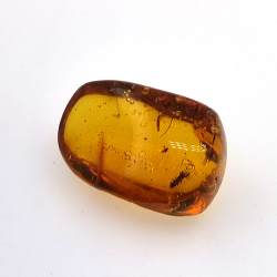16.28 ct Cabochon Amber with Insect, 25.69 × 17.25 × 12.22 mm