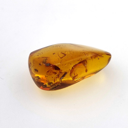 16.28 ct Cabochon Amber with Insect, 25.69 × 17.25 × 12.22 mm