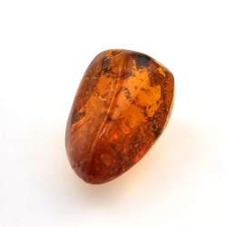 16,97 ct Ambra con insetto cabochon 29,28 x 15,78 x 13,46 mm