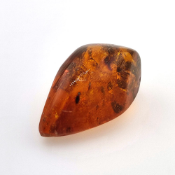 16,97 ct Ambre avec insecte cabochon 29,28 x 15,78 x 13,46 mm