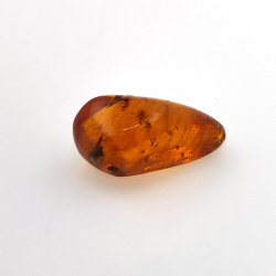 16,97 ct Ambre avec insecte cabochon 29,28 x 15,78 x 13,46 mm