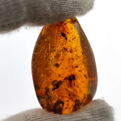 16,97 ct Ambre avec insecte cabochon 29,28 x 15,78 x 13,46 mm