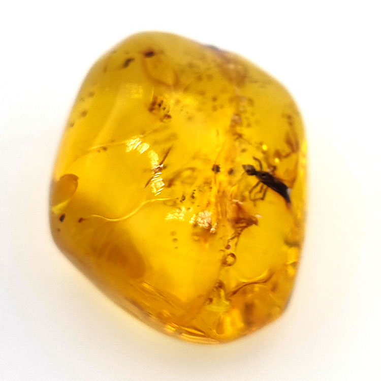 25.52 ct Amber with insect cabochon 28.64 x 21.02 x 13.46 mm