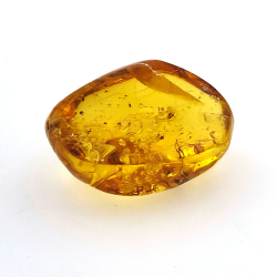 25,52 ct Ambre avec insecte cabochon 28,64 x 21,02 x 13,46 mm