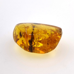 25,52 ct Ámbar con insecto cabujón 28,64 x 21,02 x 13,46 mm