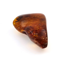 77,03 ct Ámbar con insecto cabujón 54,22 x 34,87 x 16,63 mm