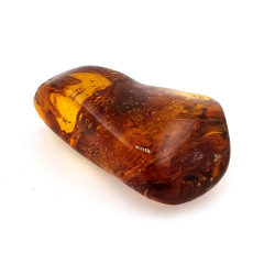 77.03 ct Amber with insect cabochon 54.22 x 34.87 x 16.63 mm