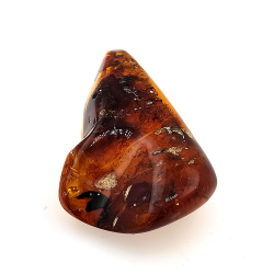 77,03 ct Ámbar con insecto cabujón 54,22 x 34,87 x 16,63 mm