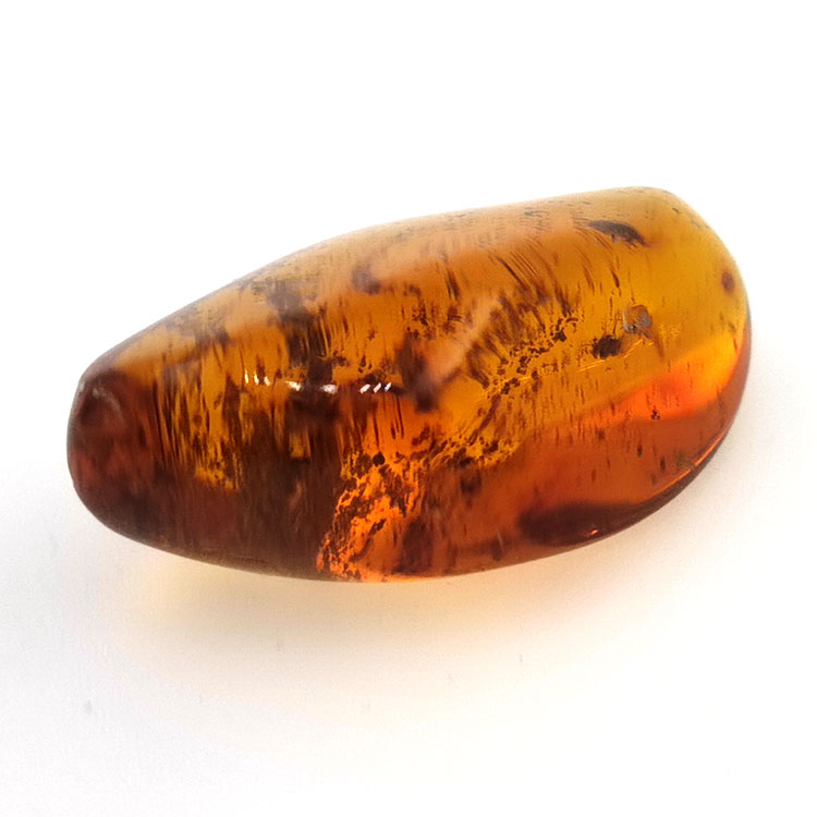 22.41 ct Amber with insect cabochon 33.67 x 19.94 x 13.28 mm