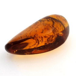 22,41 ct Ambra con insetto cabochon 33,67 x 19,94 x 13,28 mm