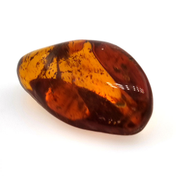 22,41 ct Ambra con insetto cabochon 33,67 x 19,94 x 13,28 mm