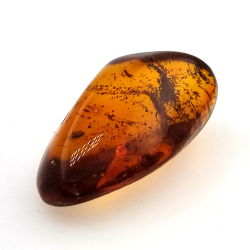 22,41 ct Ámbar con insecto cabujón 33,67 x 19,94 x 13,28 mm