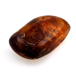 63,52 ct Bernstein mit Insekt Cabochon 43,38 x 27,52 x 15,45 mm