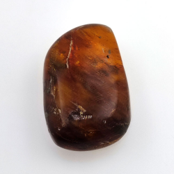 63,52 ct Ambra con insetto cabochon 43,38 x 27,52 x 15,45 mm