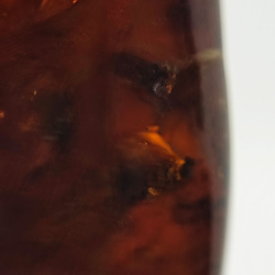 63.52 ct Amber with insect cabochon 43.38 x 27.52 x 15.45 mm