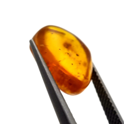 2,52 ct Bernstein mit Insekt Cabochon 14,18 x 11,60 x 5,03 mm