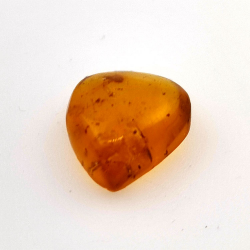2,52 ct Bernstein mit Insekt Cabochon 14,18 x 11,60 x 5,03 mm