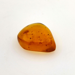 2,52 ct Bernstein mit Insekt Cabochon 14,18 x 11,60 x 5,03 mm