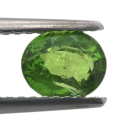 0.90ct Grenat Tsavorite Taille Ovale